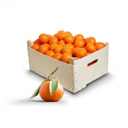 Mandarin Ortanique (12 Kilos)